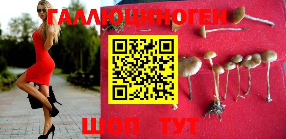 Псилоцибиновые грибы MAGIC MUSHROOMS Армавир