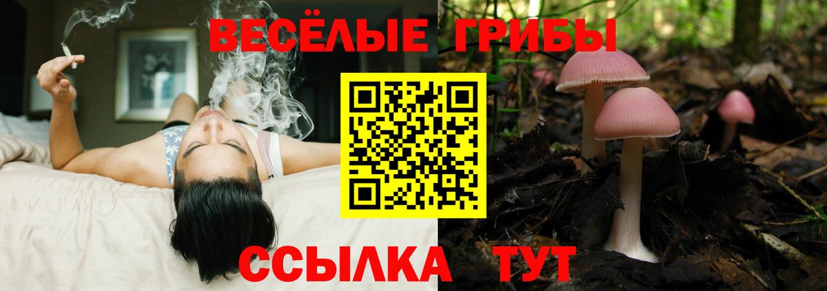 Армавир  Галлюциногенные грибы Psilocybine cubensis  Вход с VPN  Псилоцибиновые грибы мухоморы 